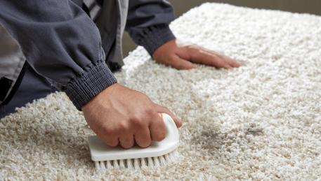 Professional Rug Cleaning Montrose